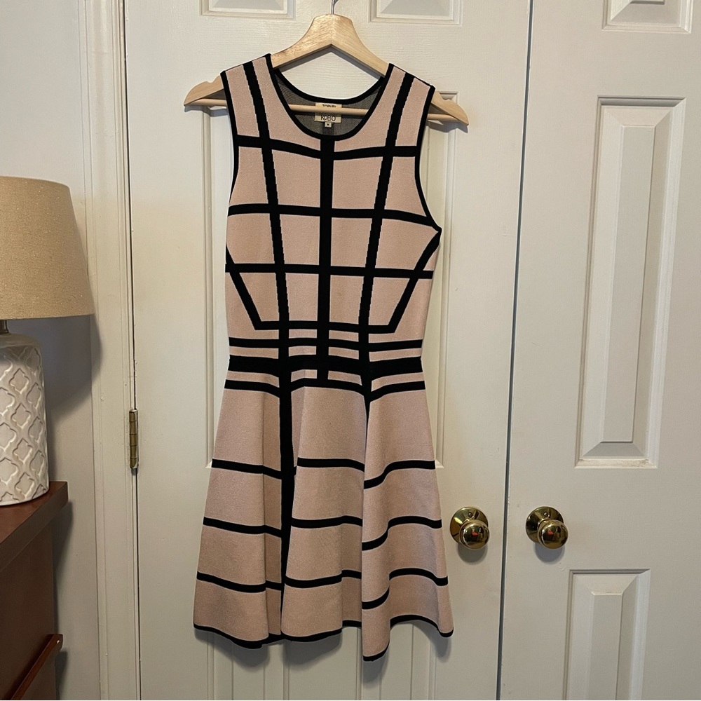 Torn By Ronny Kobo Sleeveless Cocktail Dress